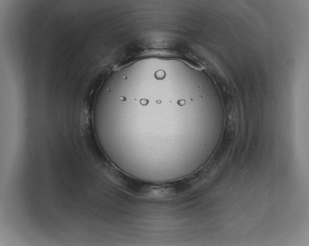 X0000110860555200906251210