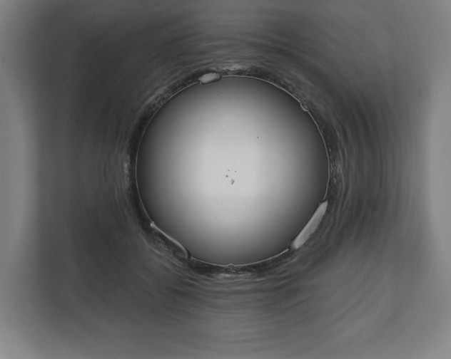 X0000110860556200906251210