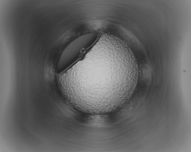 X0000110860558200906251210