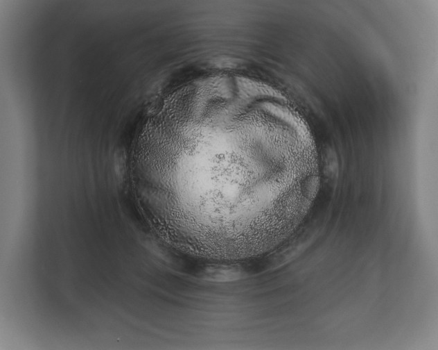 X0000110860559200906251210