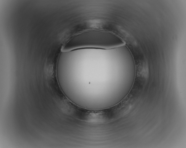 X0000110860560200906251210