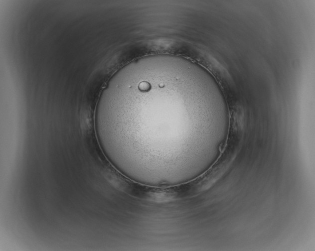 X0000110860561200906251210