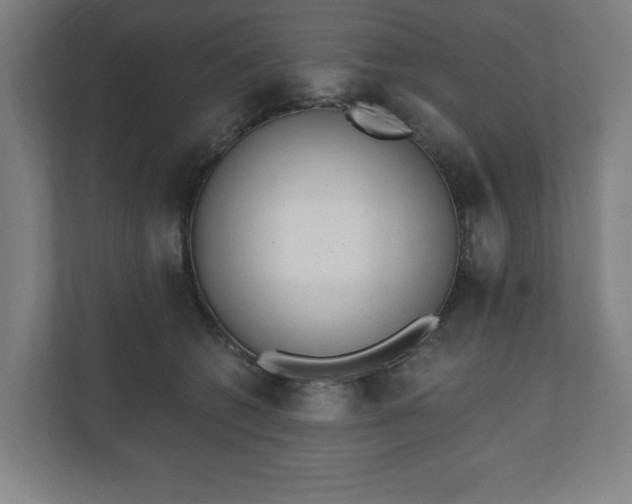 X0000110860562200906251211