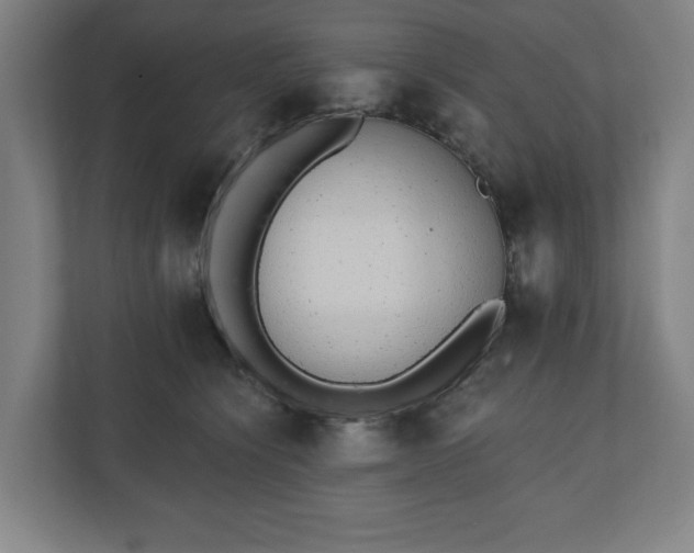 X0000110860564200906251211