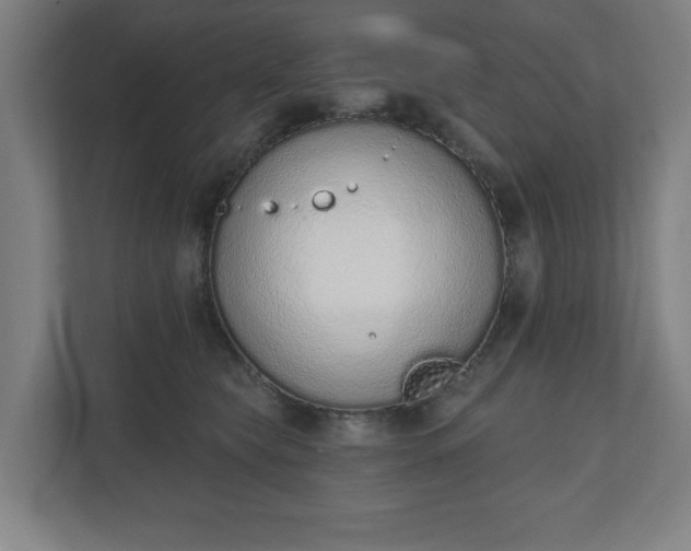 X0000110860565200906251211