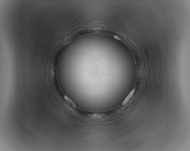 X0000110860566200906251211