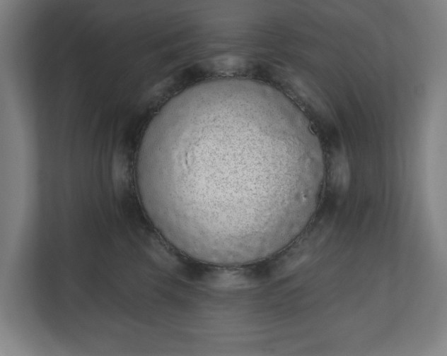 X0000110860569200906251211