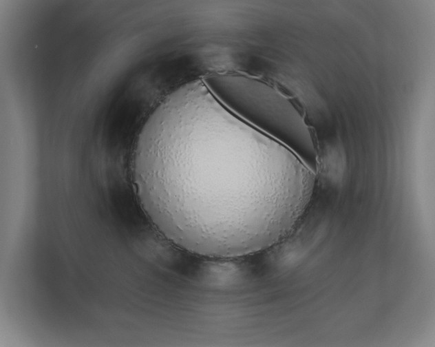 X0000110860572200906251211