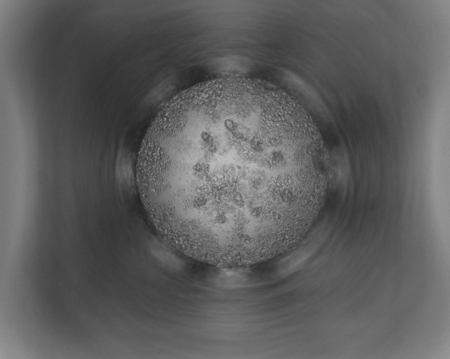 X0000110860573200906251211