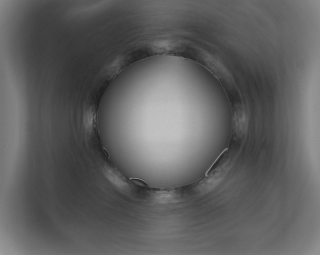 X0000110860574200906251211