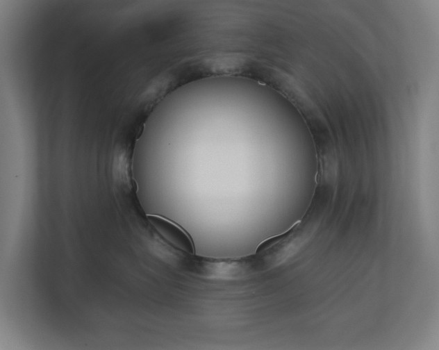 X0000110860575200906251211