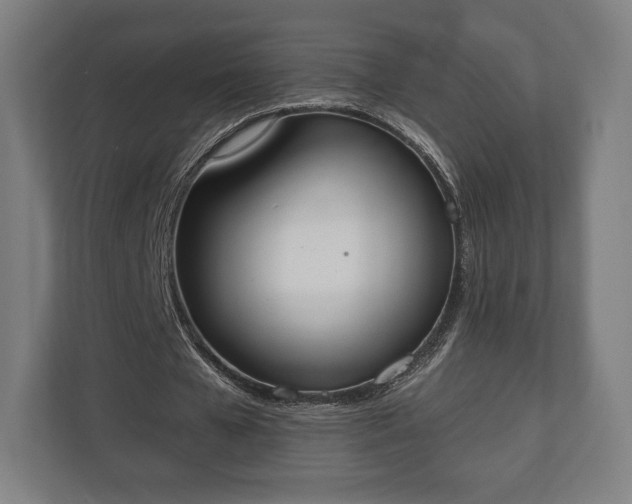 X0000110860577200906251210