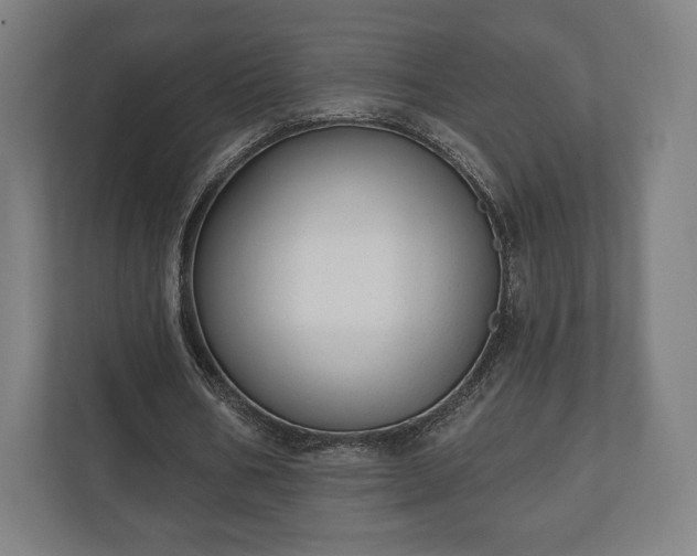 X0000110860578200906251210