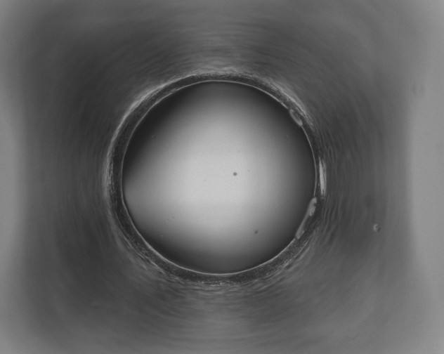 X0000110860579200906251210