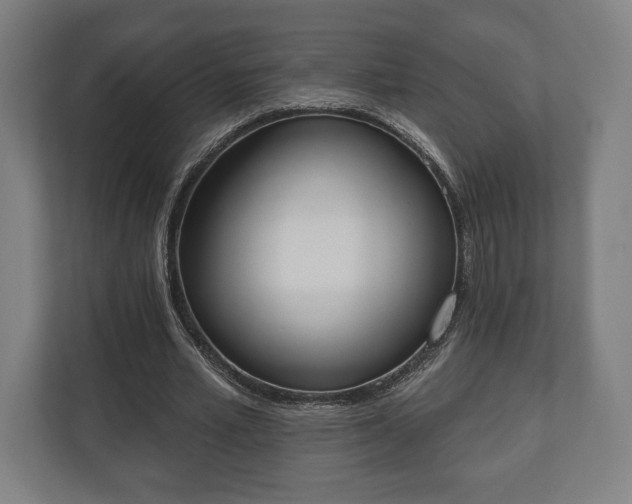 X0000110860581200906251210