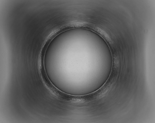 X0000110860582200906251210