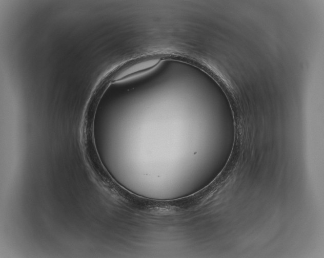 X0000110860583200906251210