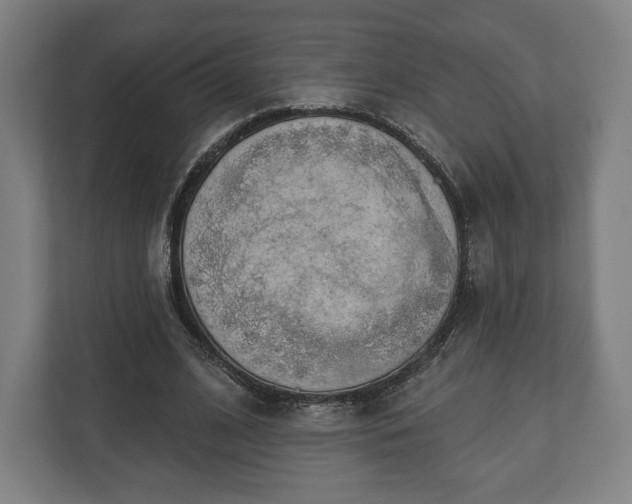 X0000110860584200906251210