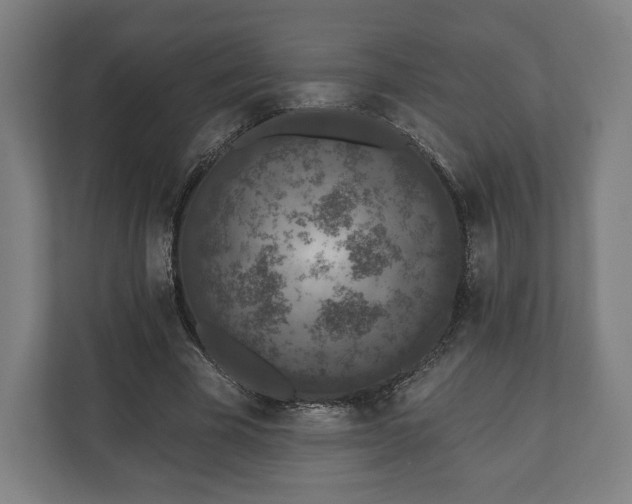 X0000110860585200906251210