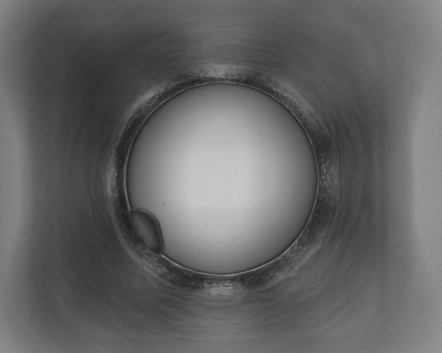 X0000110860587200906251210