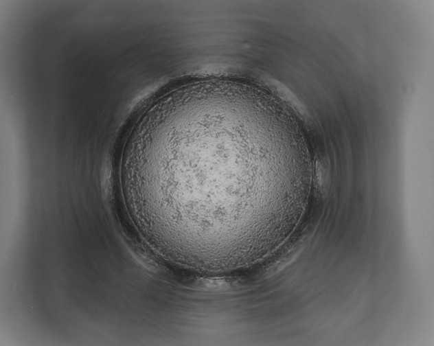 X0000110860588200906251210