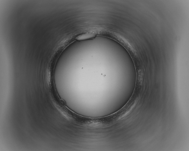 X0000110860589200906251210