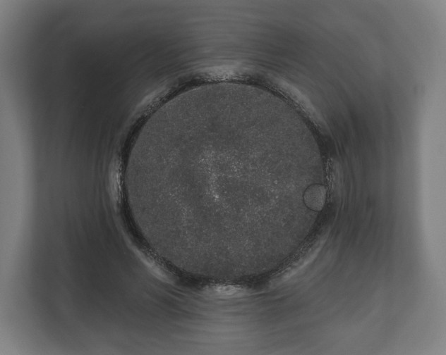 X0000110860590200906251210