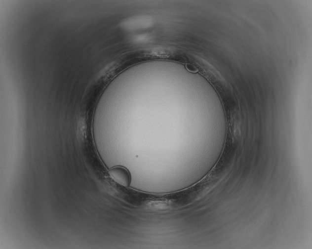 X0000110860595200906251210