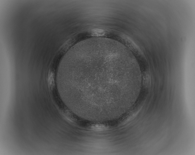 X0000110860598200906251210