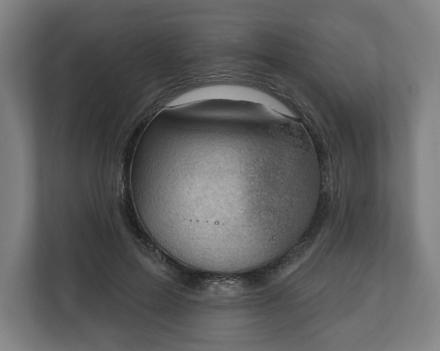 X0000110860599200906251210