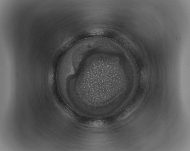 X0000110860600200906251210