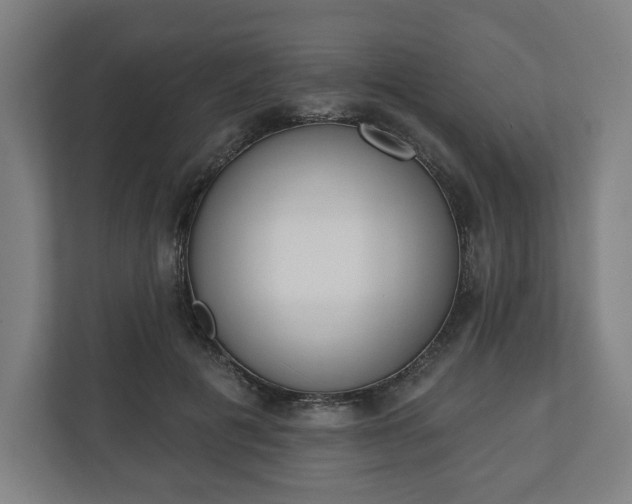 X0000110860601200906251210