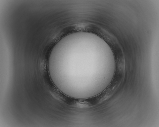 X0000110860603200906251210