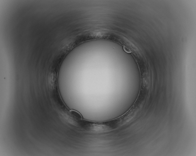 X0000110860605200906251210