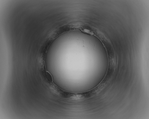 X0000110860609200906251210