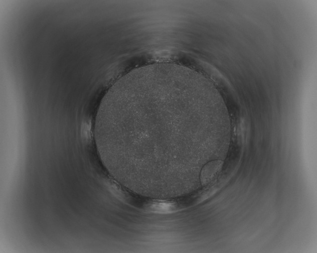 X0000110860610200906251210