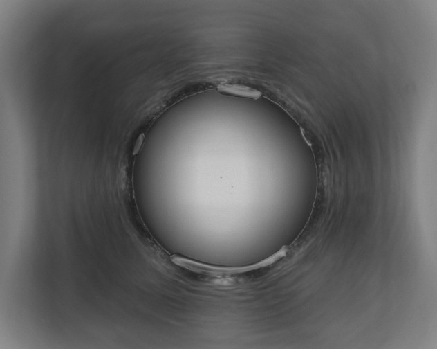 X0000110860611200906251210