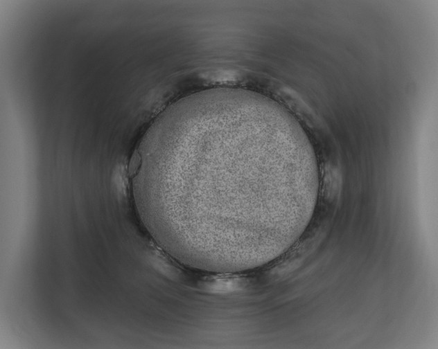 X0000110860612200906251210