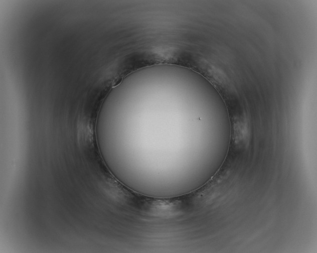 X0000110860613200906251210