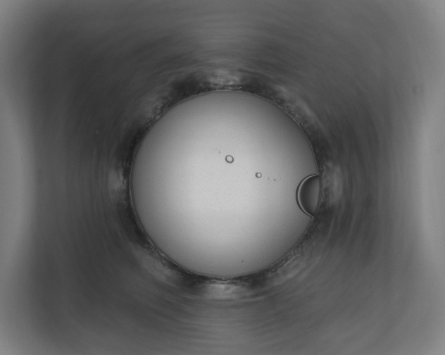 X0000110860614200906251210