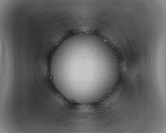 X0000110860615200906251210