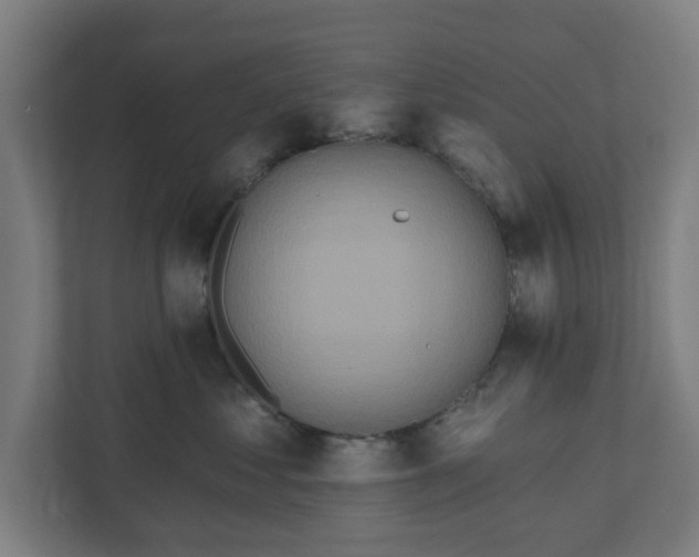 X0000110860621200906251209