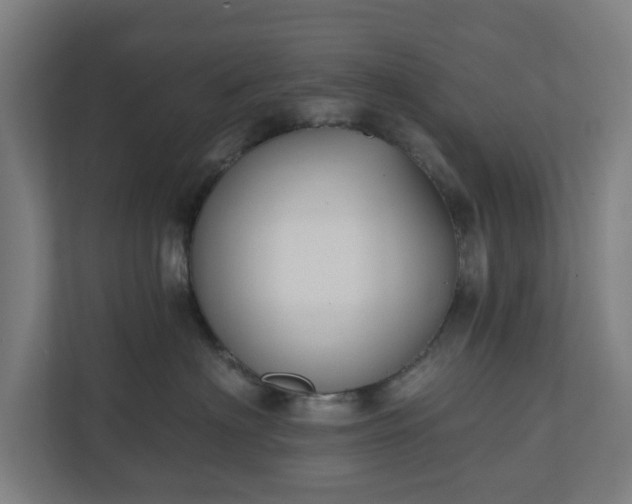 X0000110860622200906251209