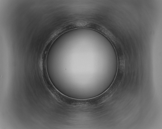 X0000110860626200906251209