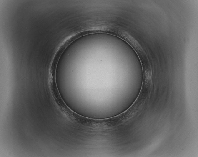 X0000110860628200906251209