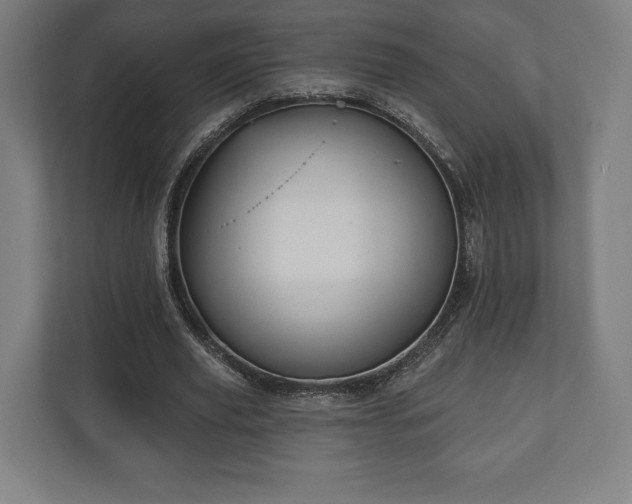 X0000110860629200906251209