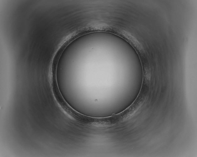 X0000110860630200906251209