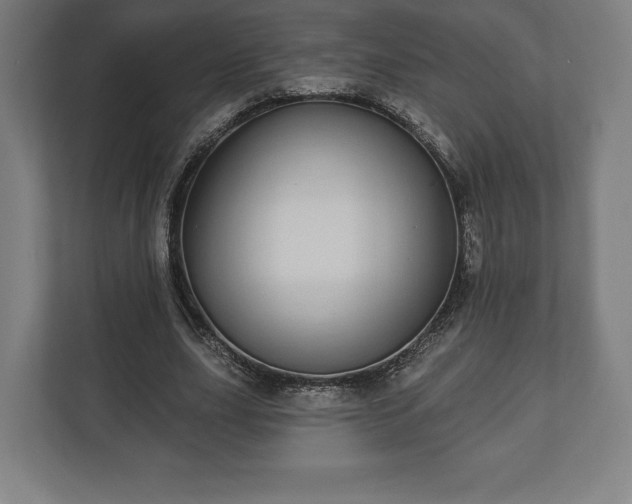 X0000110860631200906251209