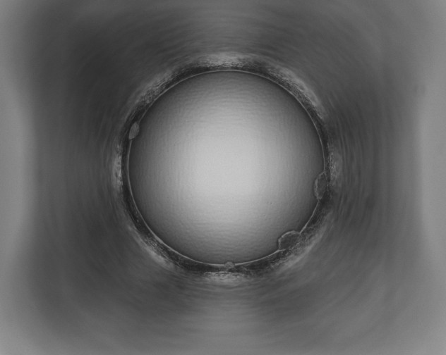 X0000110860633200906251209