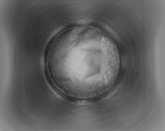 X0000110860634200906251209